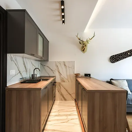 Anja Sousza コパオニク